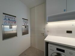 Hana (D10), Condominium #473342601